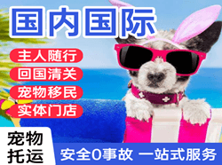 丽江机场物流国际宠物托运 【国